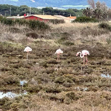 לינה וארוחת בוקר Via Roma House *