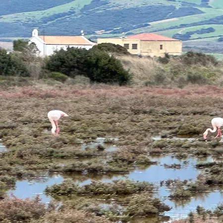 住宿加早餐酒店 Via Roma House Terralba