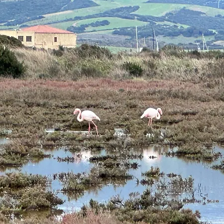 Via Roma House * Terralba