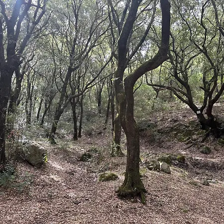 住宿加早餐酒店 Via Roma House Terralba