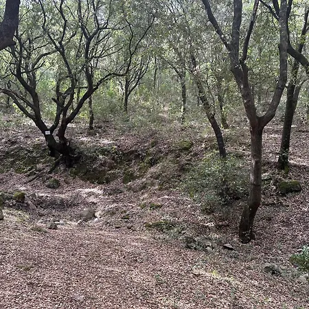 住宿加早餐酒店 Via Roma House *