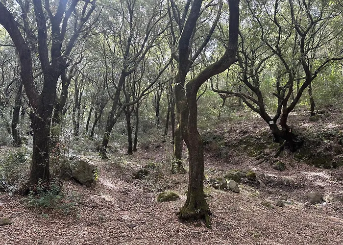 Oda ve Kahvaltı Via Roma House Terralba