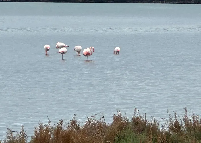 Via Roma House Oda ve Kahvaltı Terralba